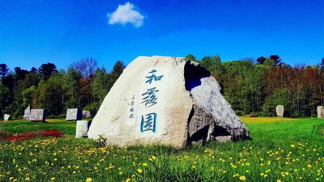 哈尔滨某早市一碗羊汤20元只有五片肉? 官方:已取消该摊主经营资格