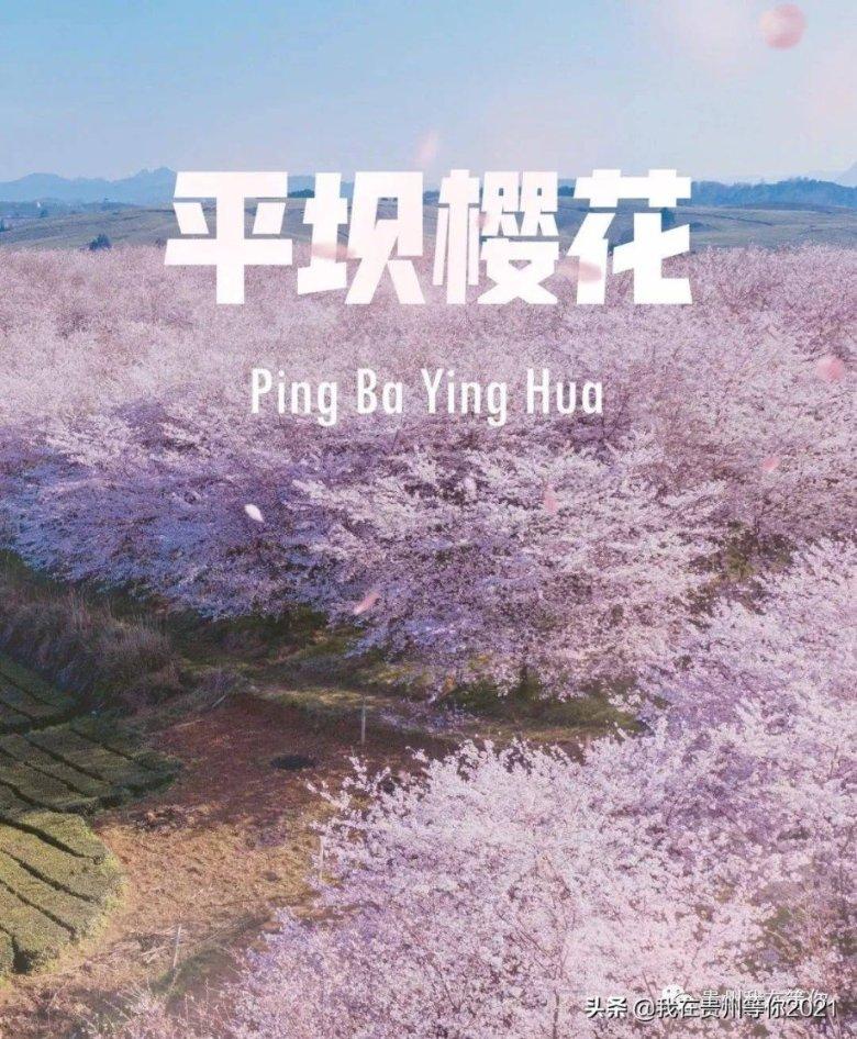 逃出上锁的现代房间8